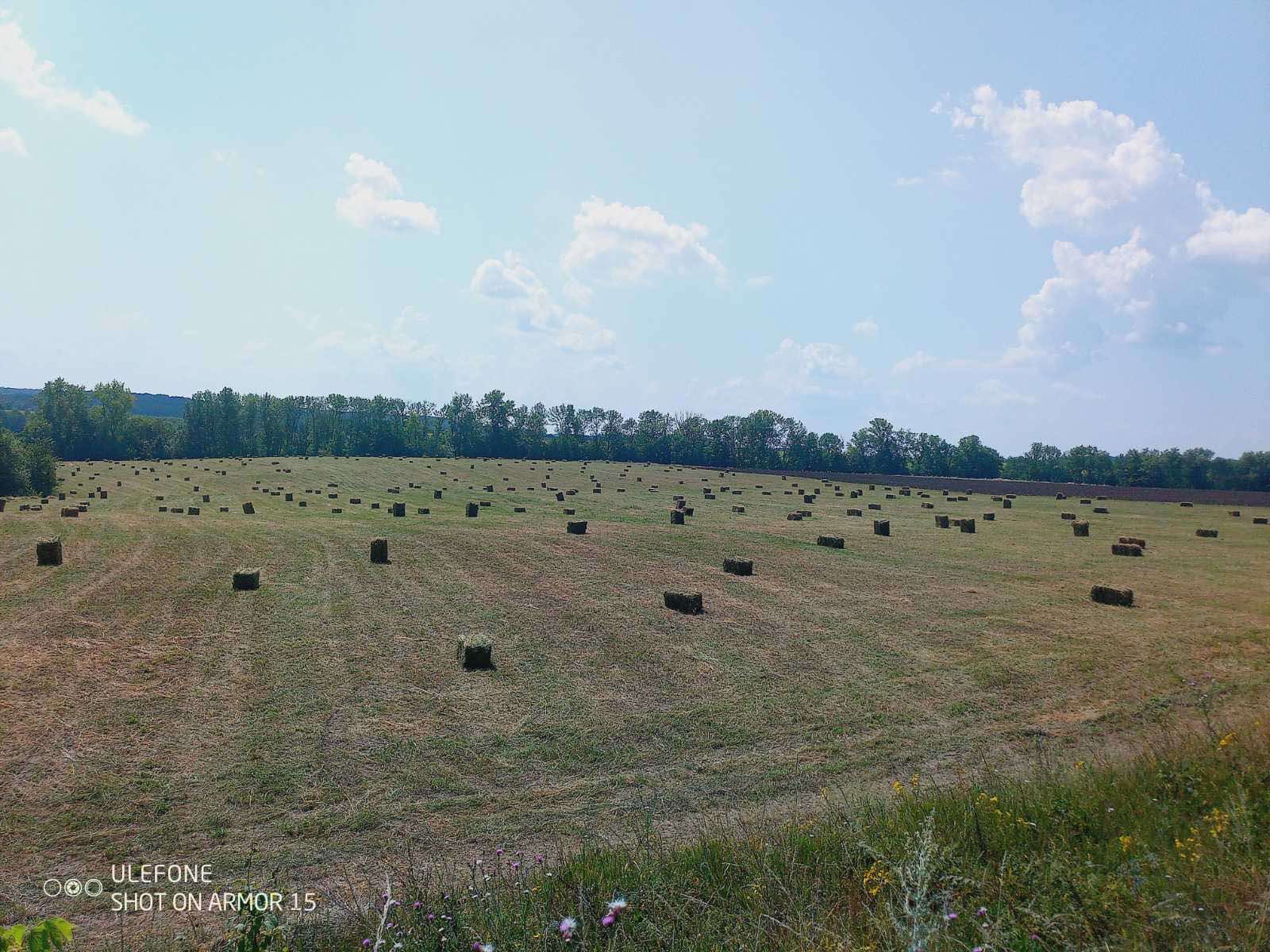Заготівля сіна